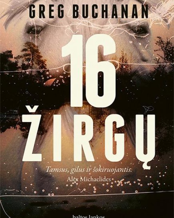 16 žirgų