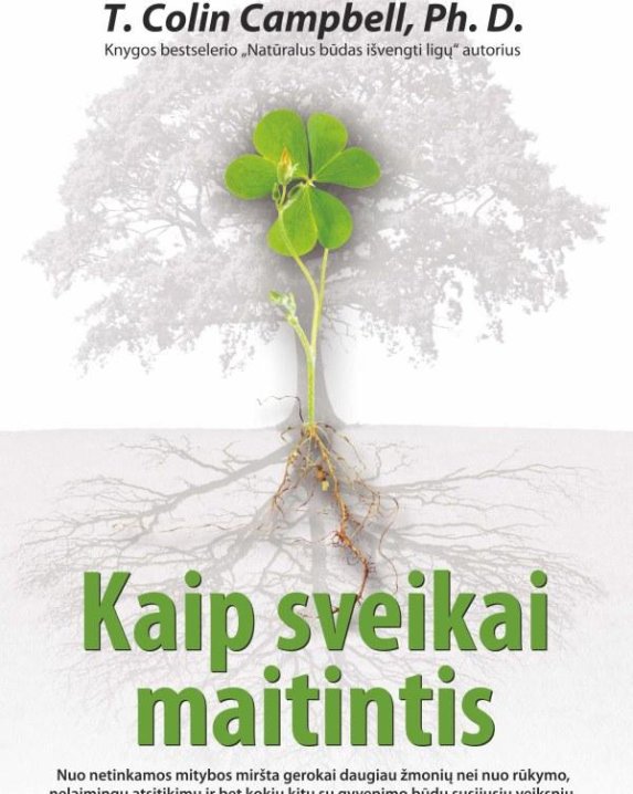Kaip sveikai maitintis