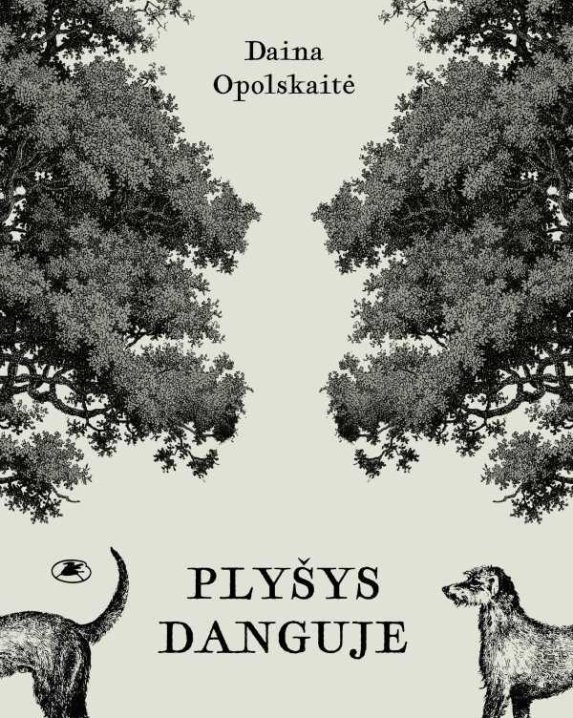 Plyšys danguje