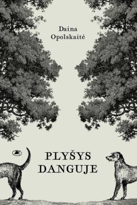 Plyšys danguje