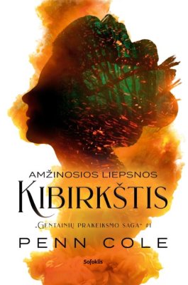 Amžinosios liepsnos kibirkštis