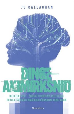 Dingę akimirksniu