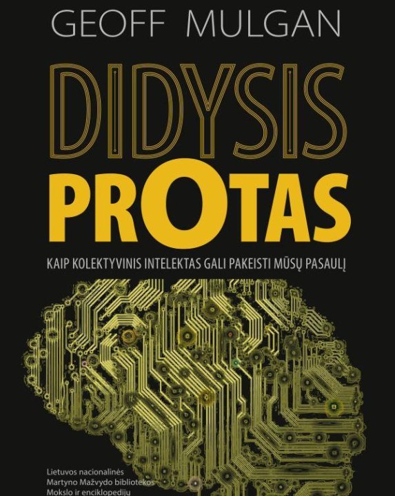Didysis protas