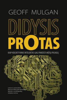 Didysis protas